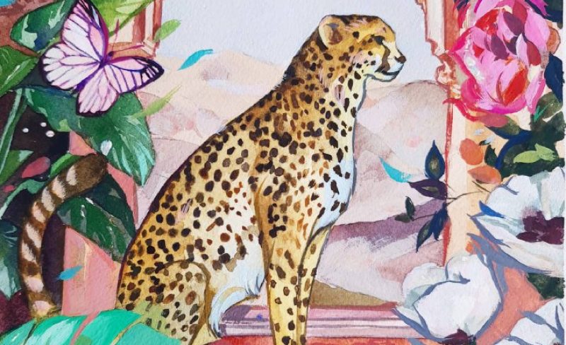 "Cheetah" Progress Pictures!