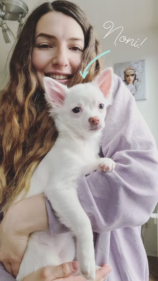We have a new BABY DOG!!! 😍🥰
