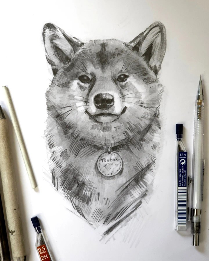 Pet Portraits in B&W