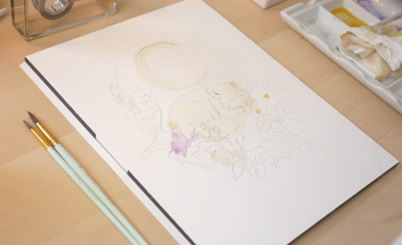 Cute little Fox Progress Pictures! 😊