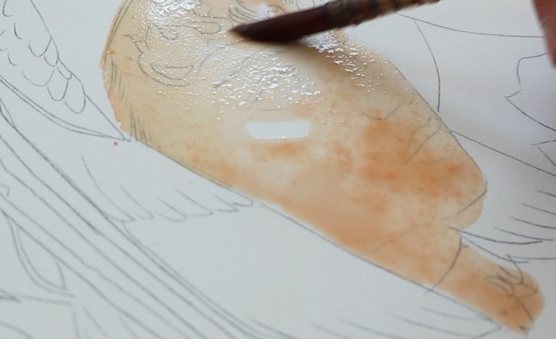 "Phoebe" Progress Pictures