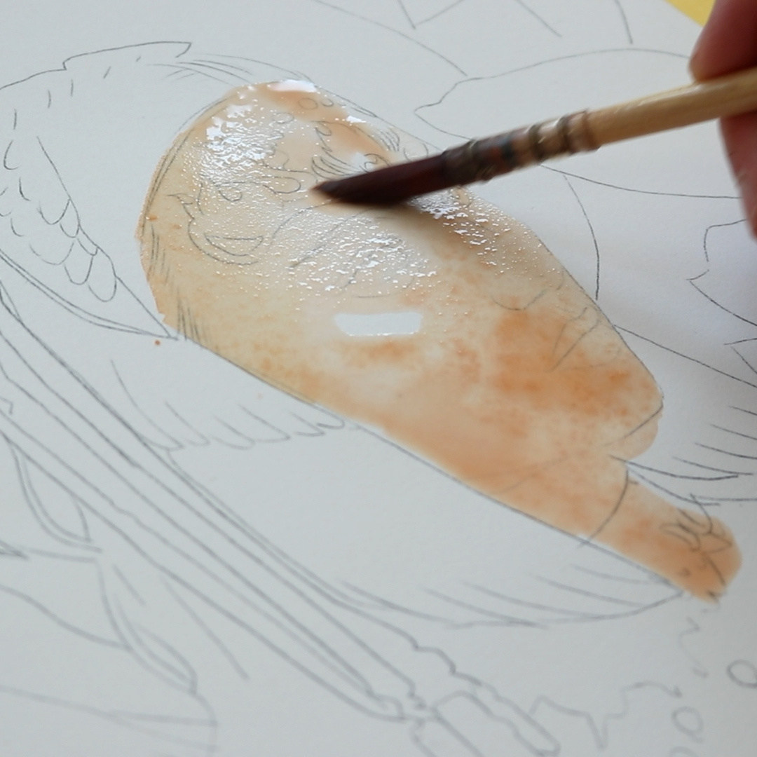 "Phoebe" Progress Pictures