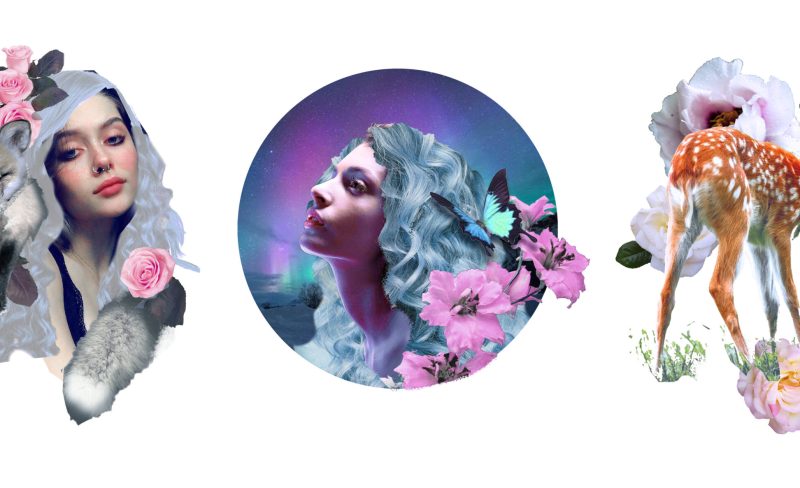 Winter Animals & Ladies for December!