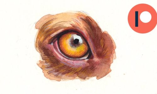 course thumbnail